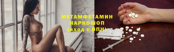 гидра Алексеевка