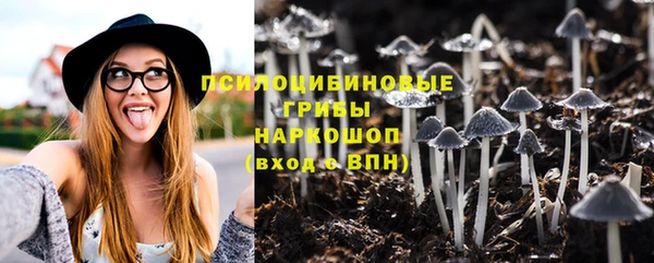 тгк Алексин